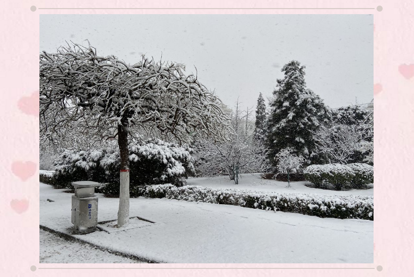 pg����-pg���عٷ���-pg���ذ�װ2026���°�v88.64.4.2006--��׿��-3367��׿��